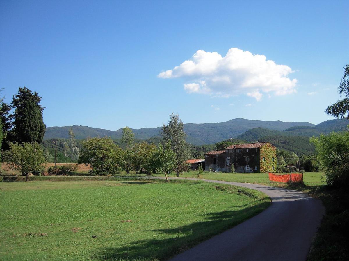Al Cascinale Villa Lucca Eksteriør bilde