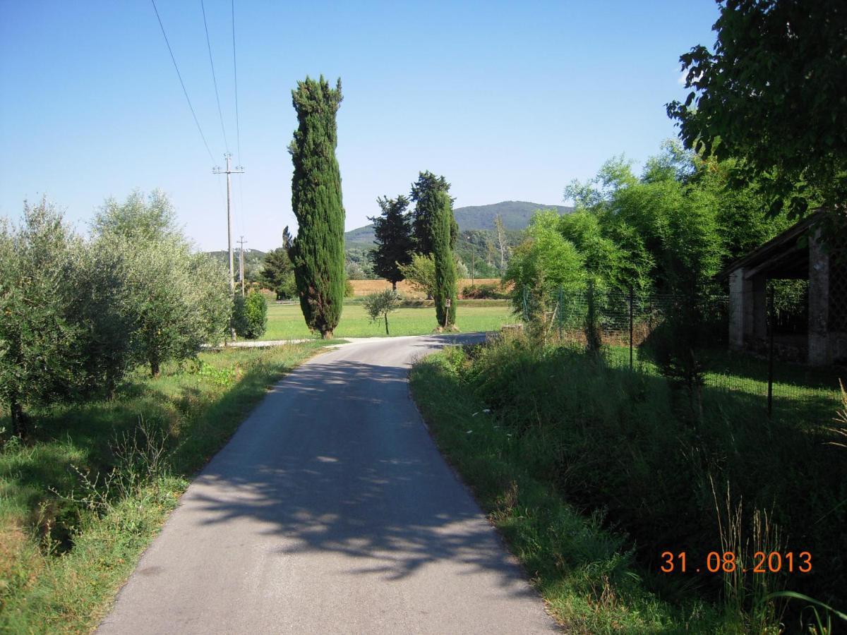 Al Cascinale Villa Lucca Eksteriør bilde